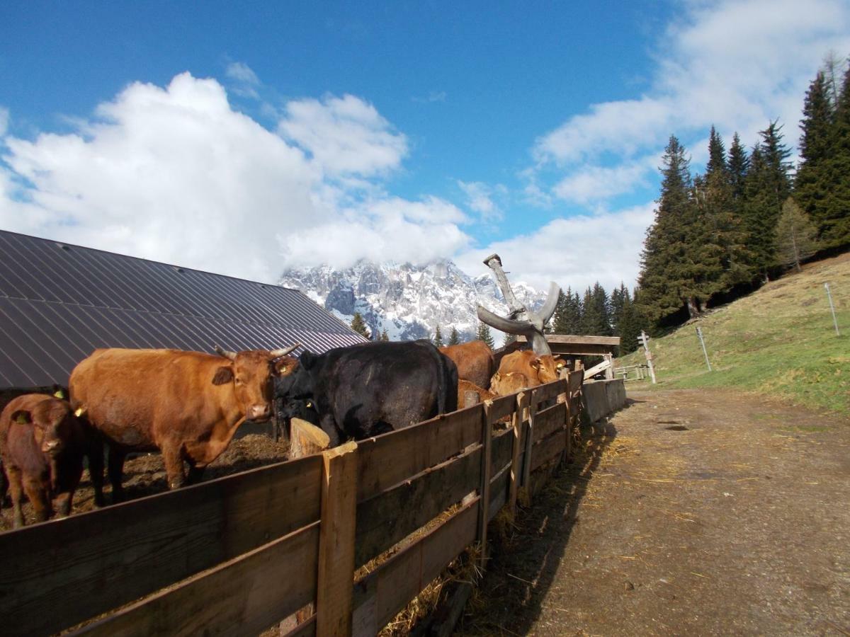 Apartmán Balcone Sulle Dolomiti Comèlico Superiore Exteriér fotografie